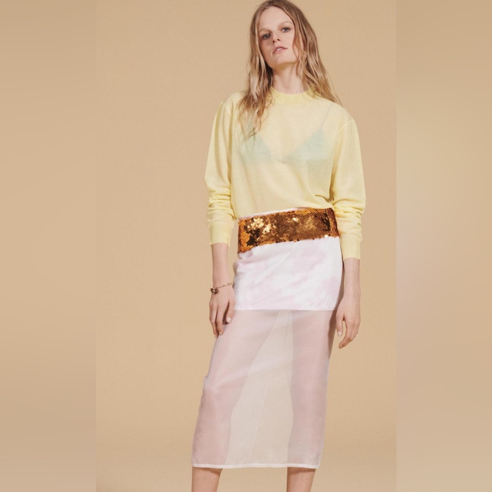 Zara Silk Sequin Organza Skirt
